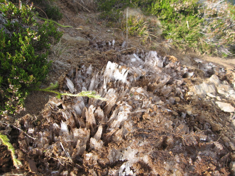 missing image