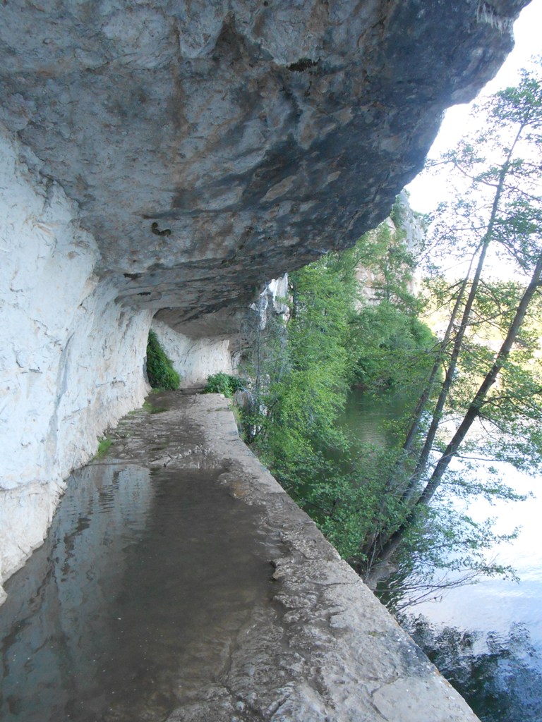 DSCN0085