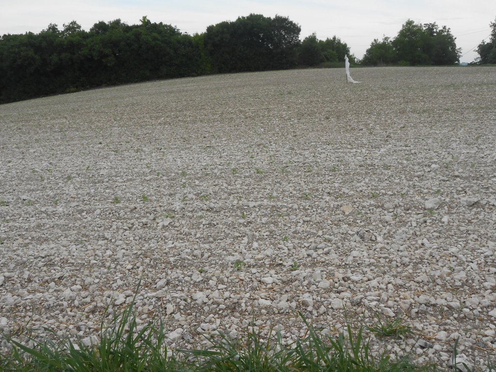 DSCN0135