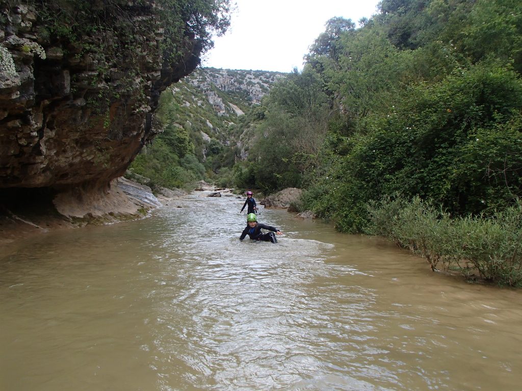 P5290099