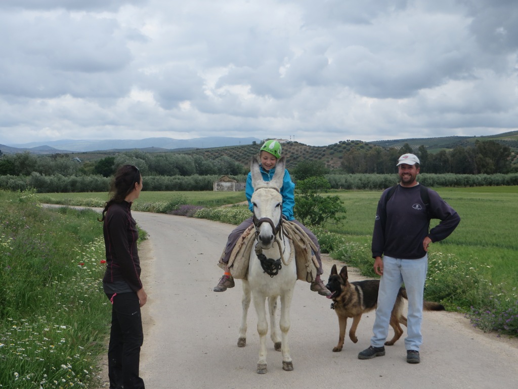 IMG 2228