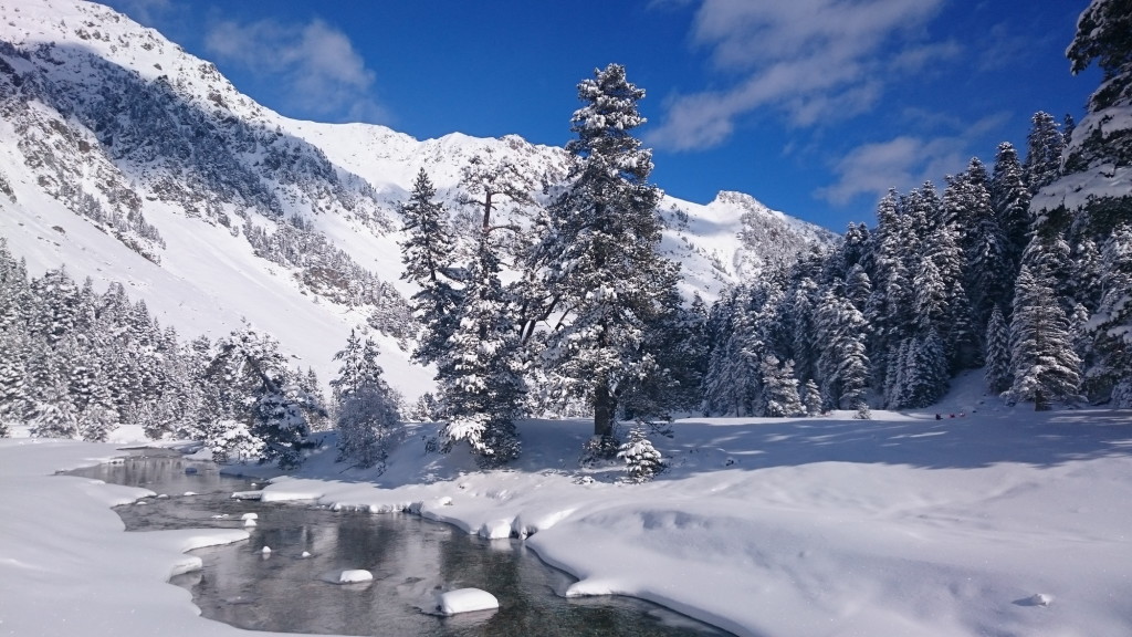 IglooWallon01