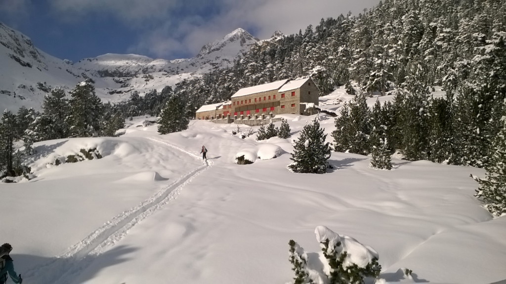 IglooWallon04