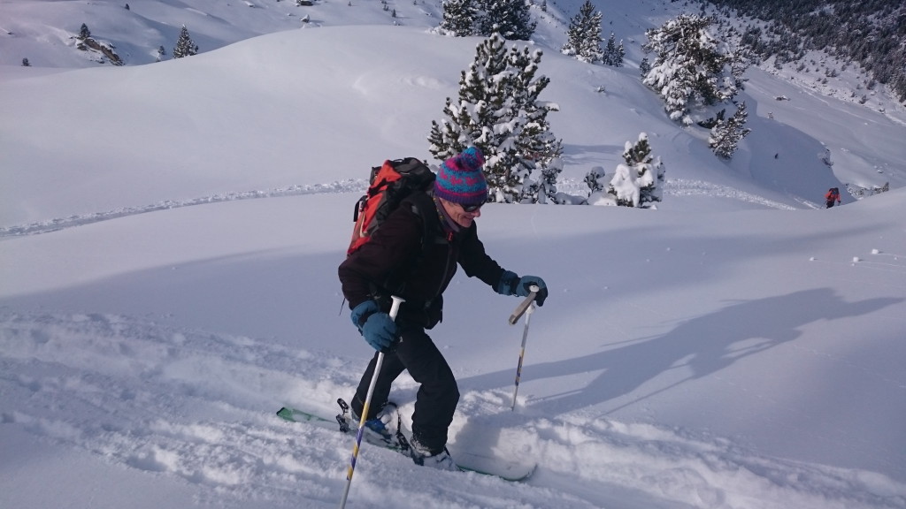 IglooWallon06