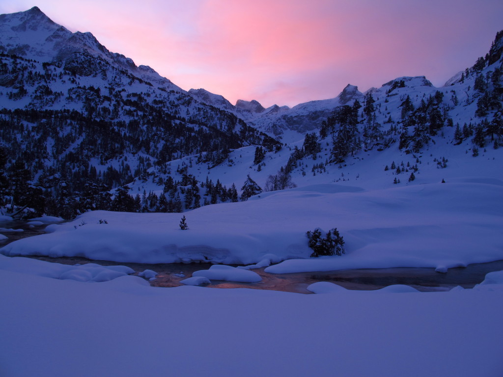 IglooWallon19