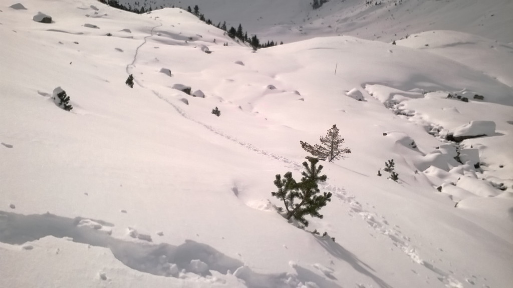 IglooWallon23