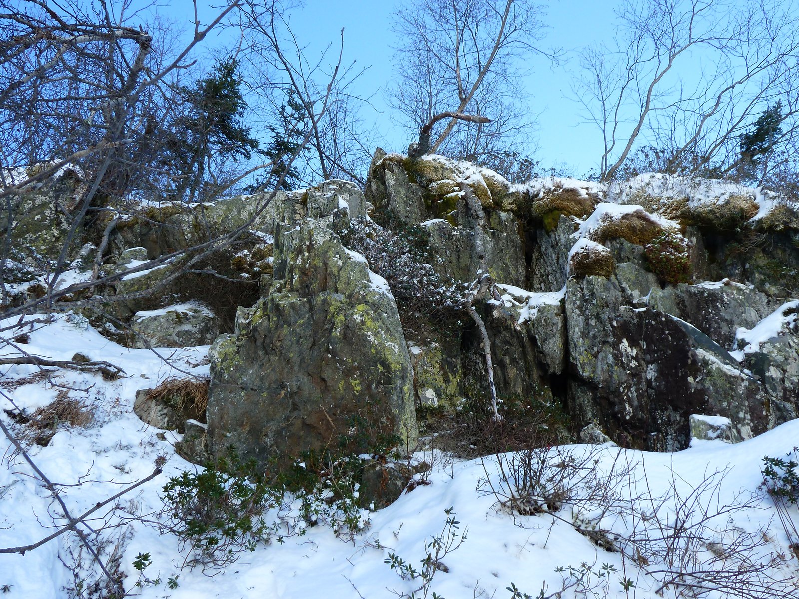 P1090184.JPG