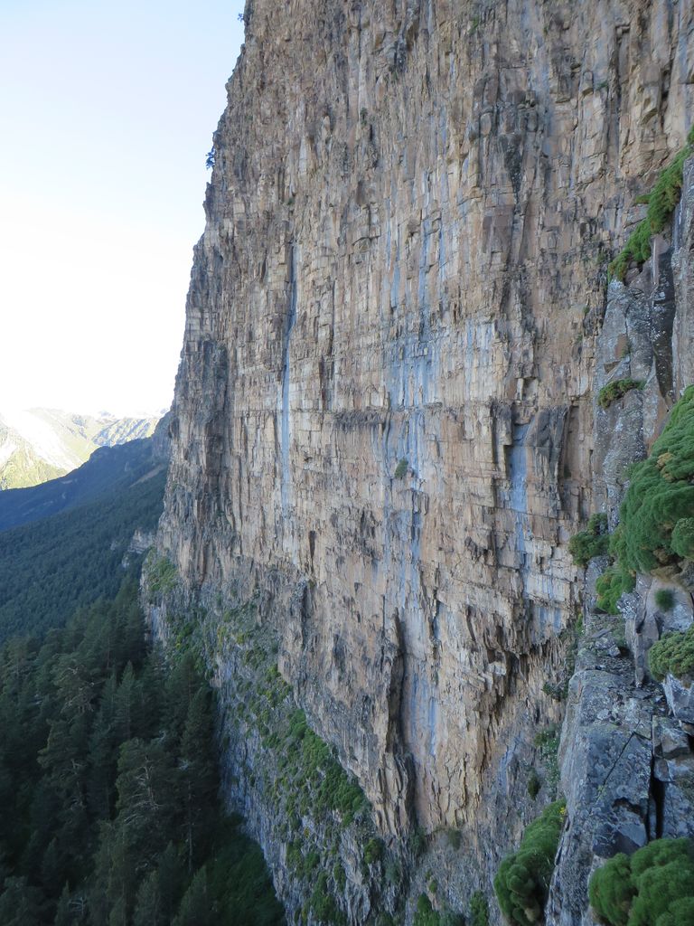 tozal08