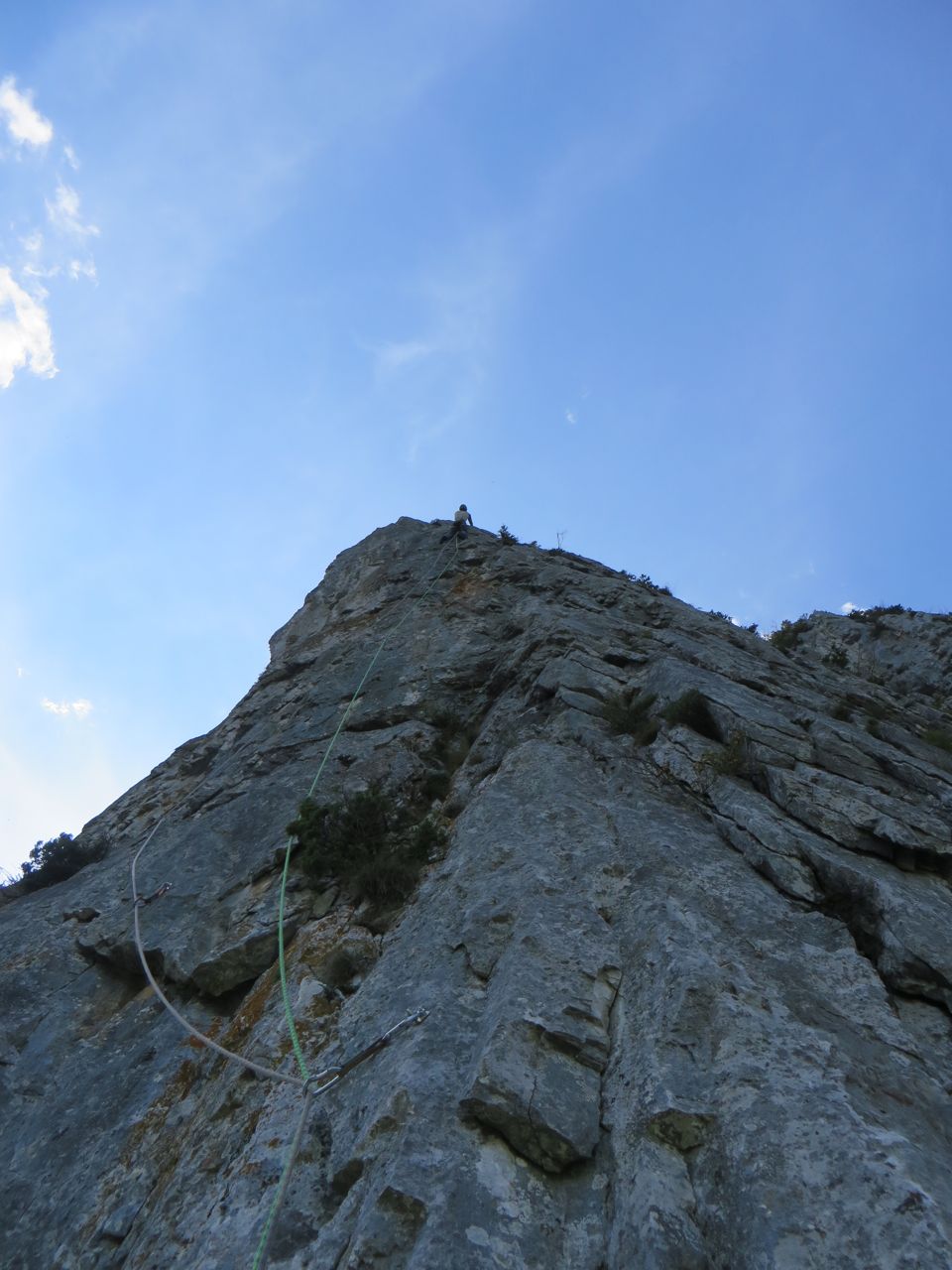 IMG 4963
