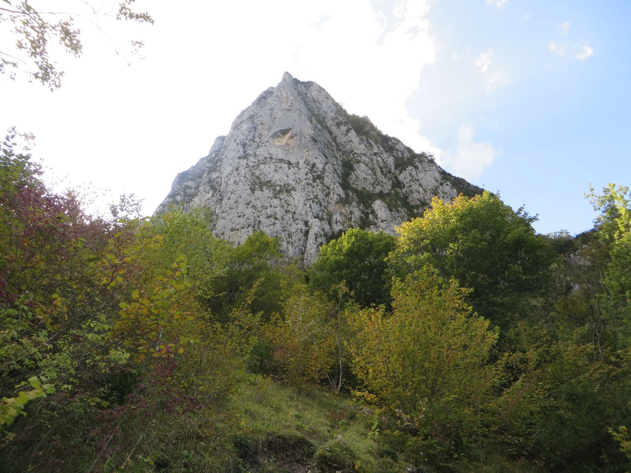 IMG 4985