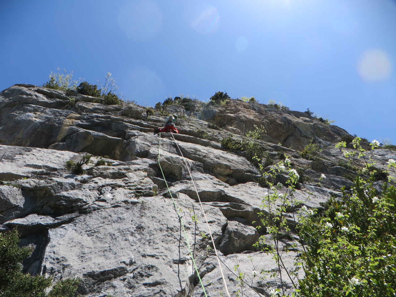 IMG 7457