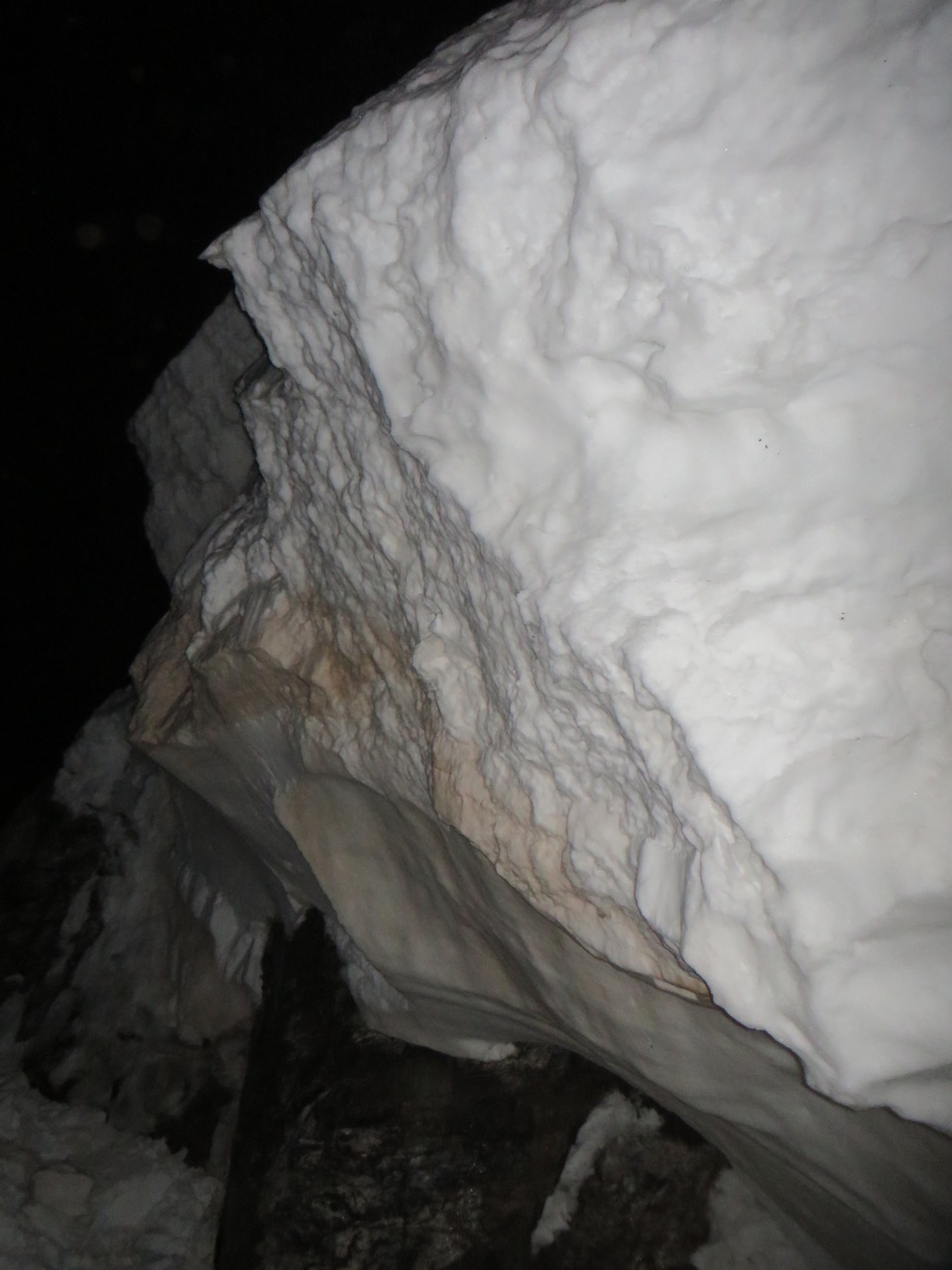 IMG 7467