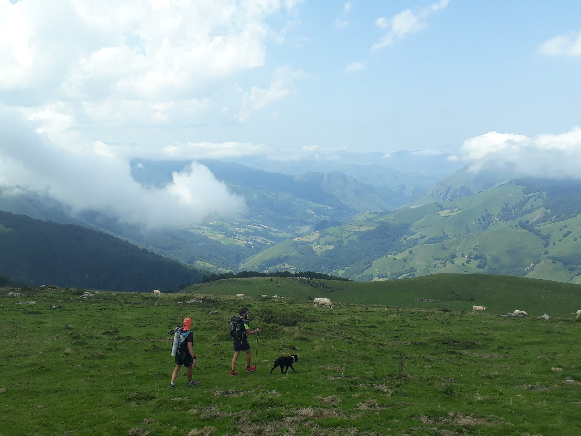 2018 08 11 14.51.32