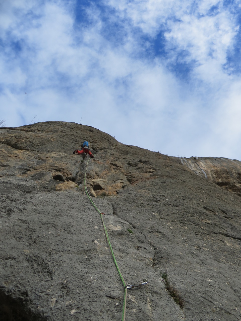 IMG 8953
