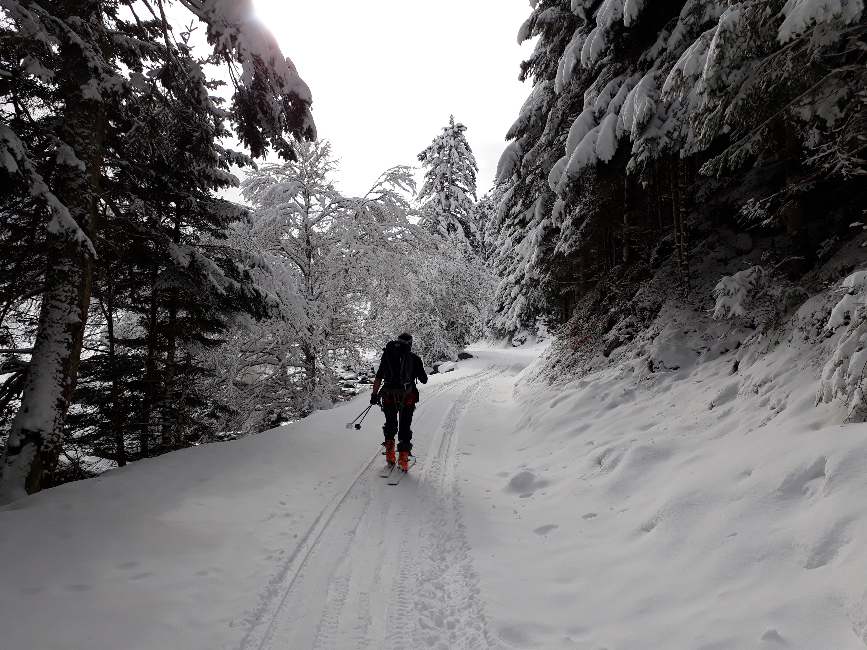 C'est bon, on est sur le bon chemin! 20180127 120643