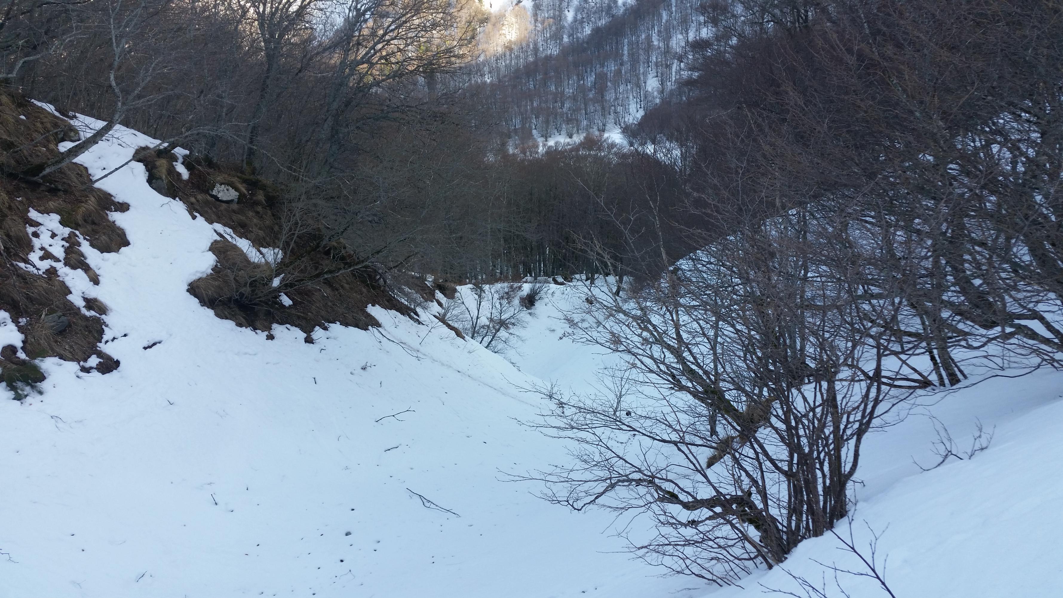 20190219 160946
