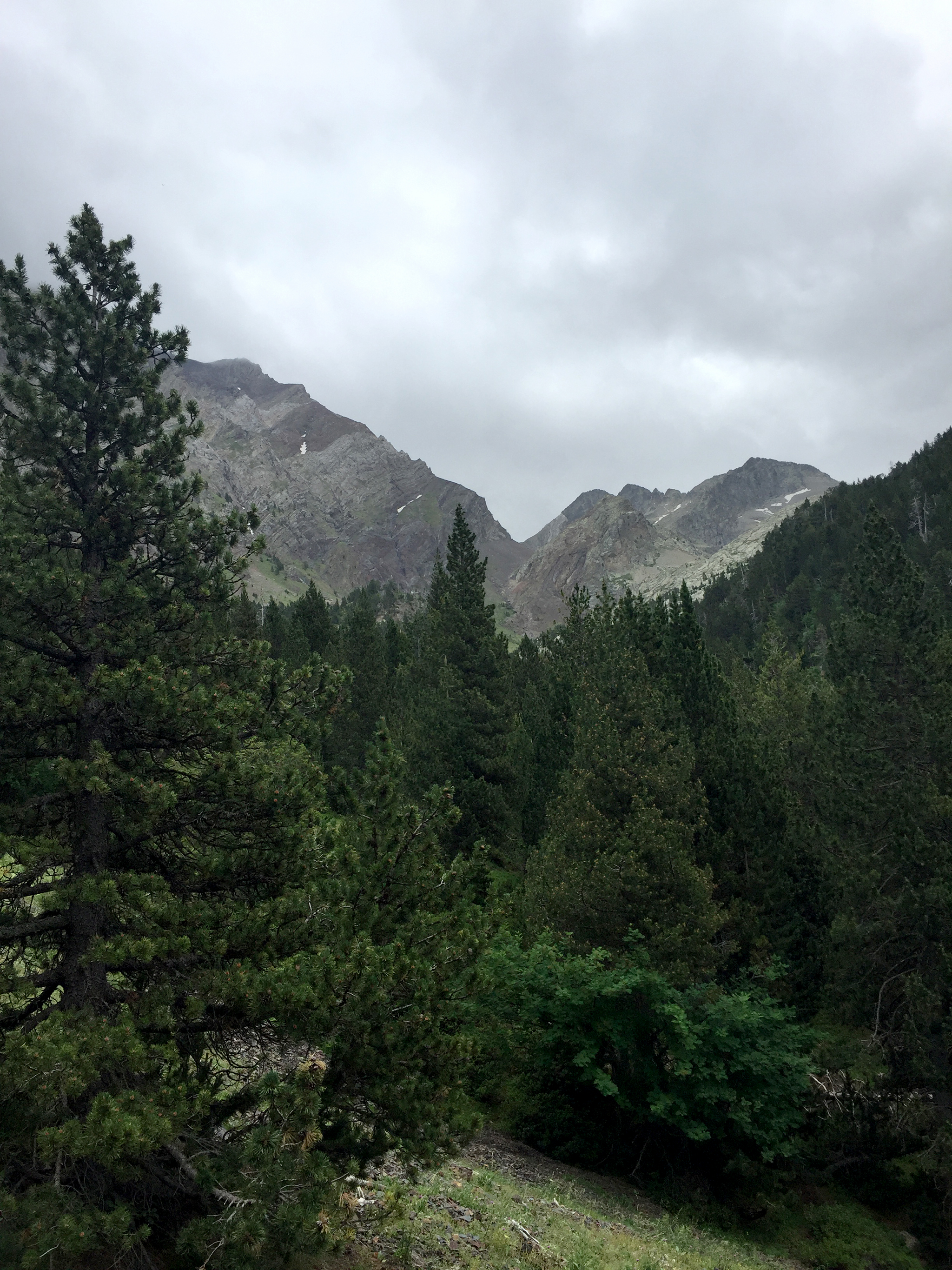 IMG 0956