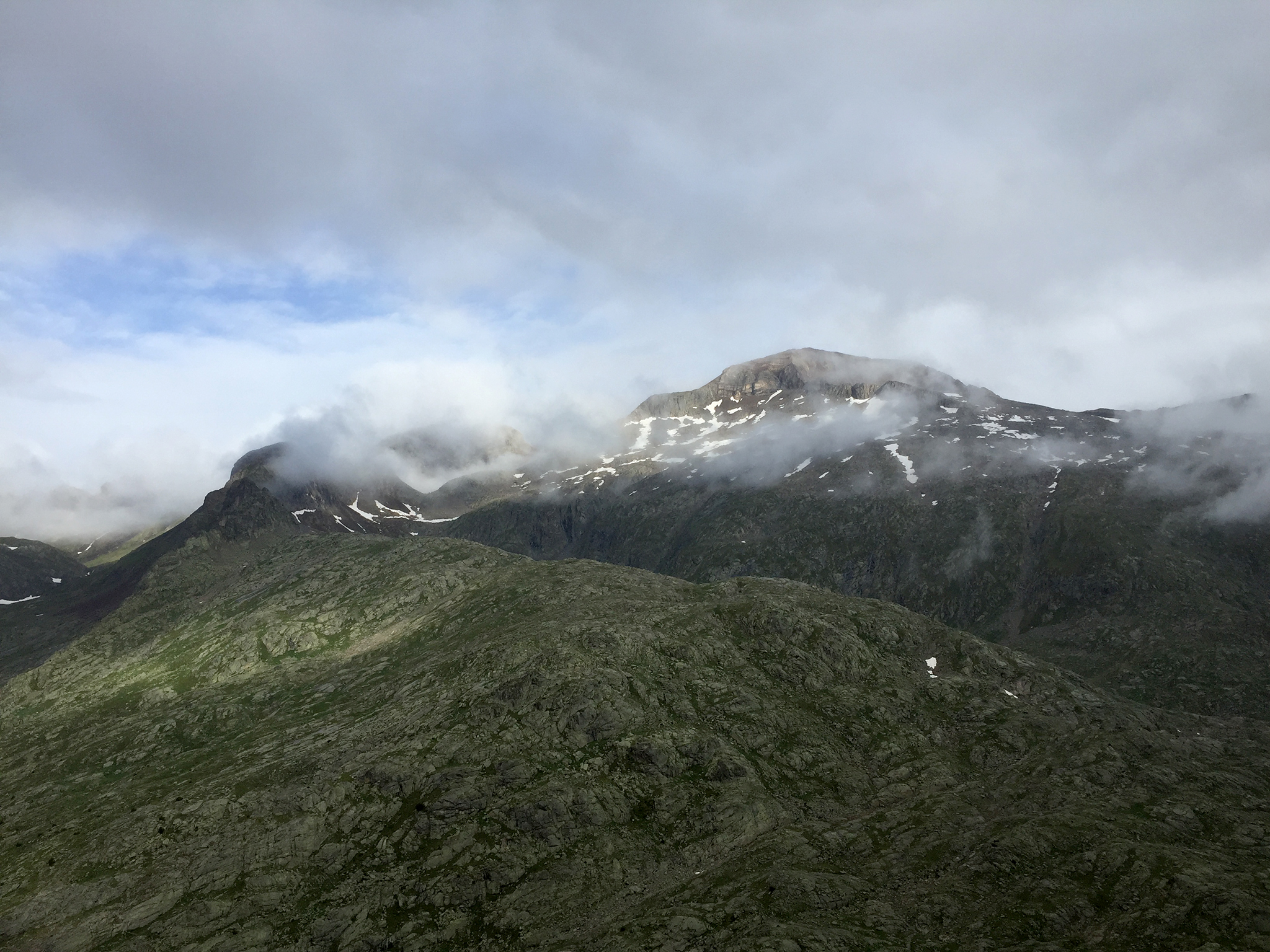 IMG 0979