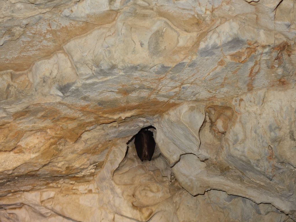 grotte19 18