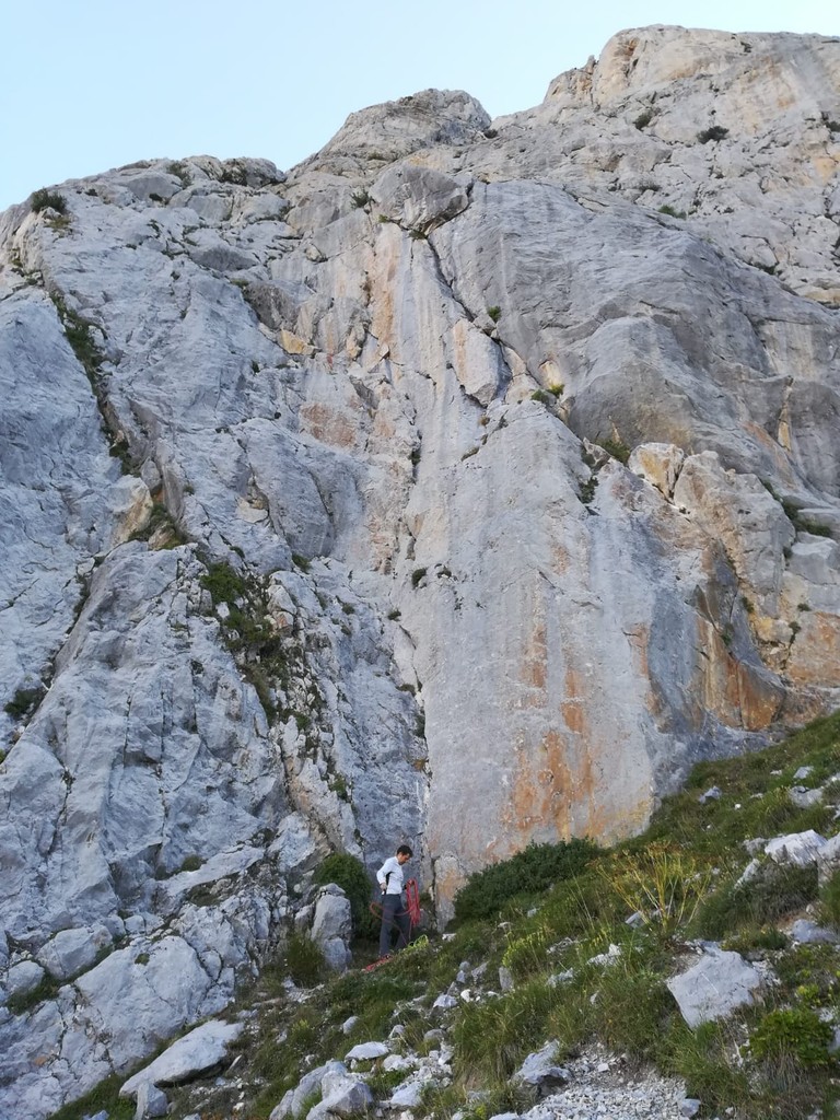benat20 08