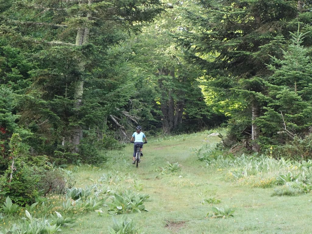 VS ariege20 23