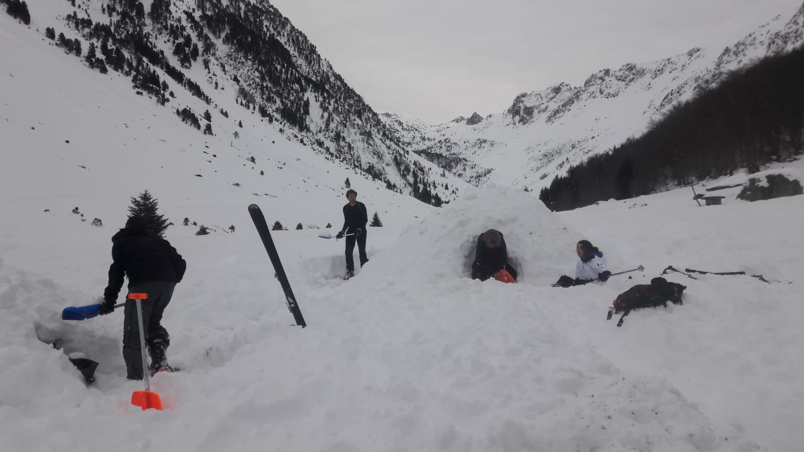 igloo21 31ca