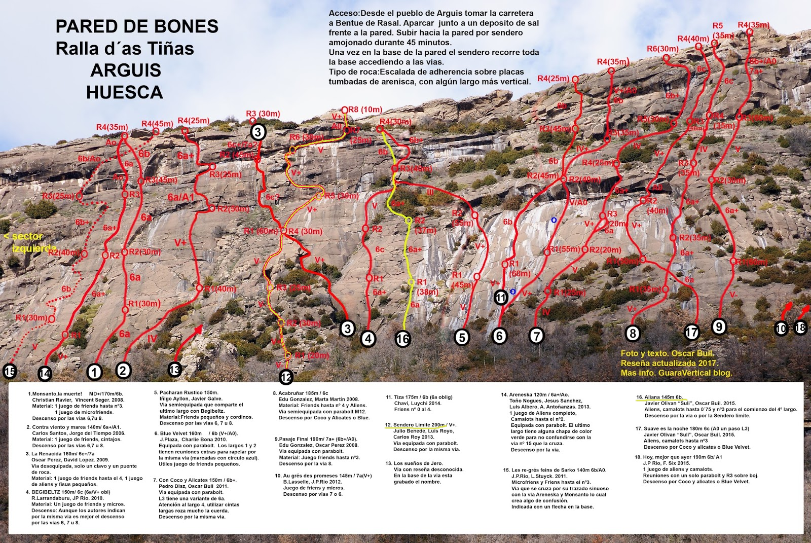 Topo Bones