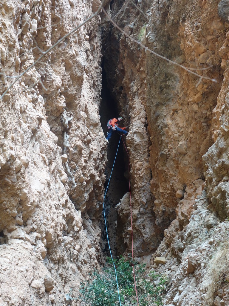 web 18