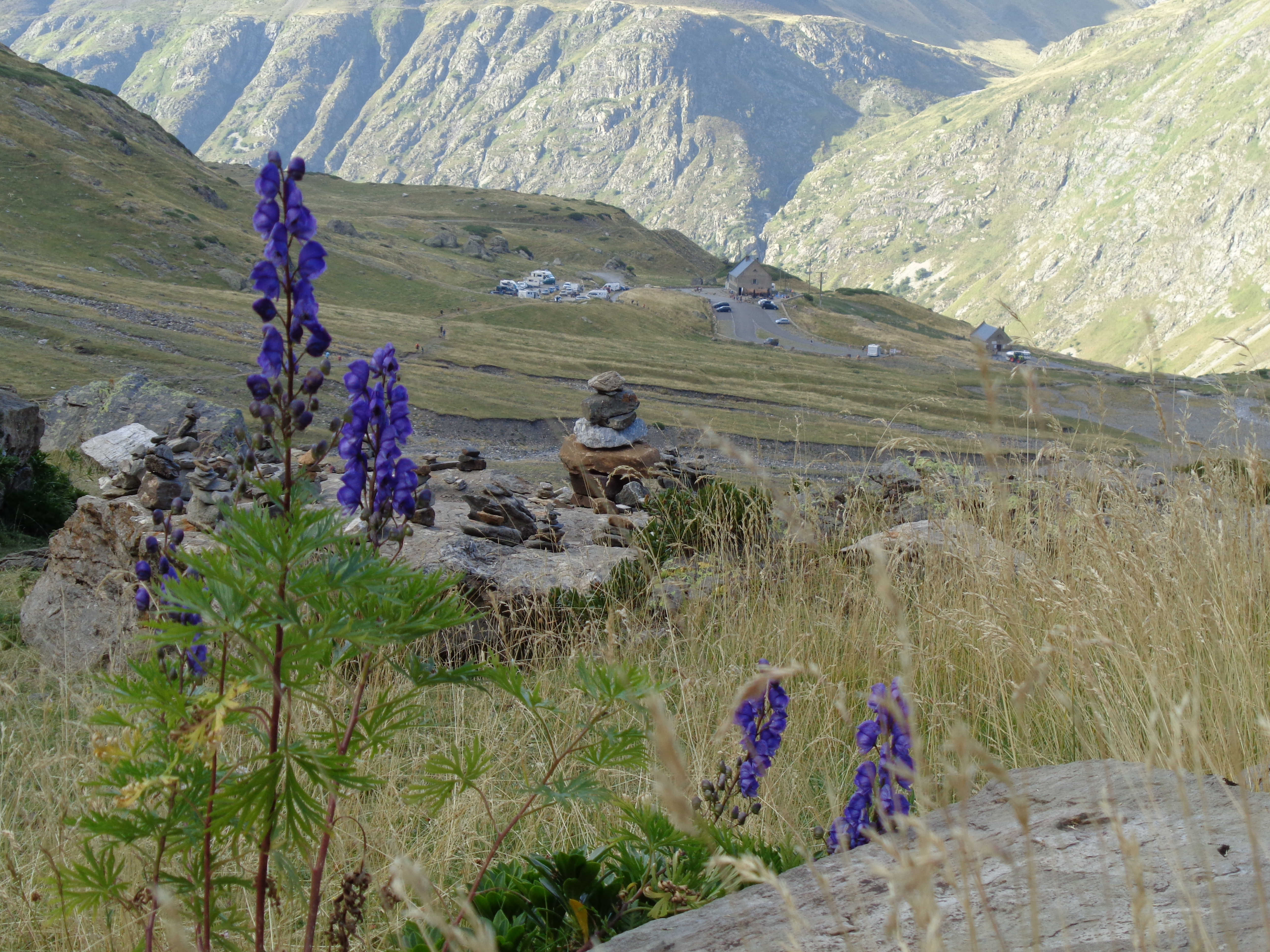 bouquetcairns