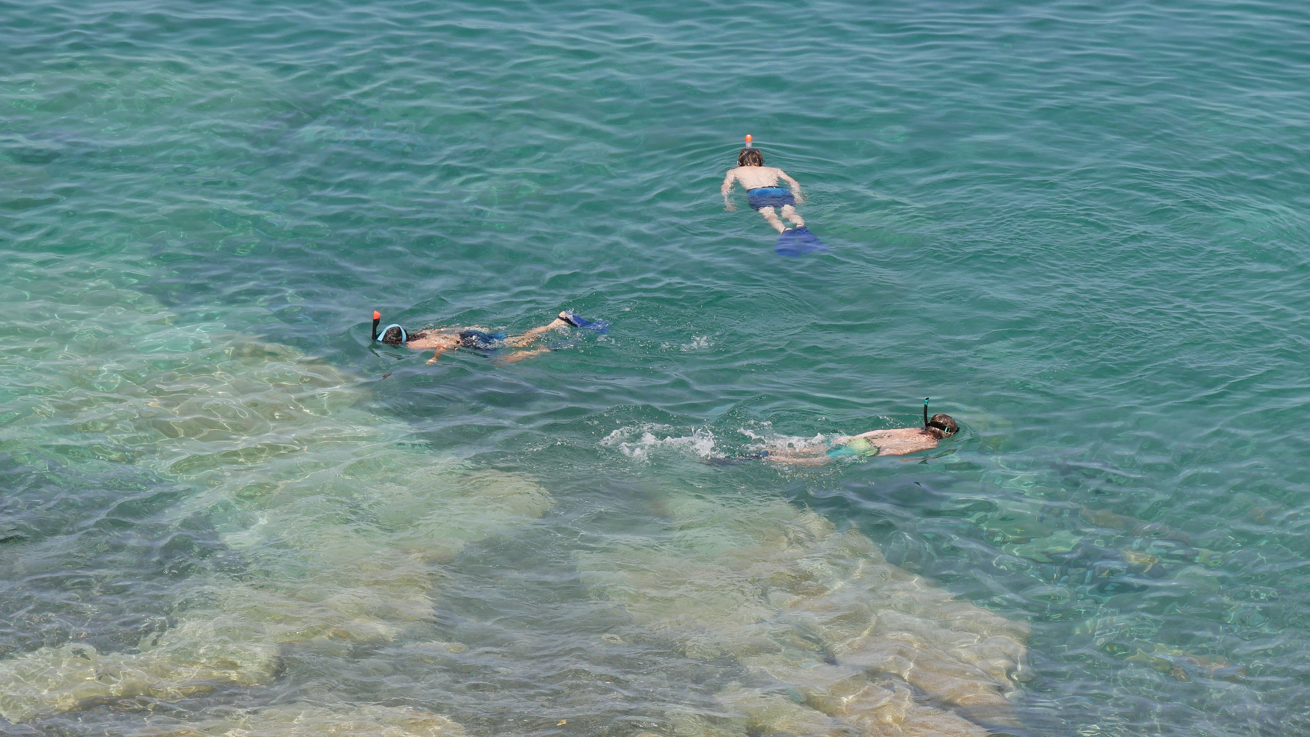 corse apero 0004
