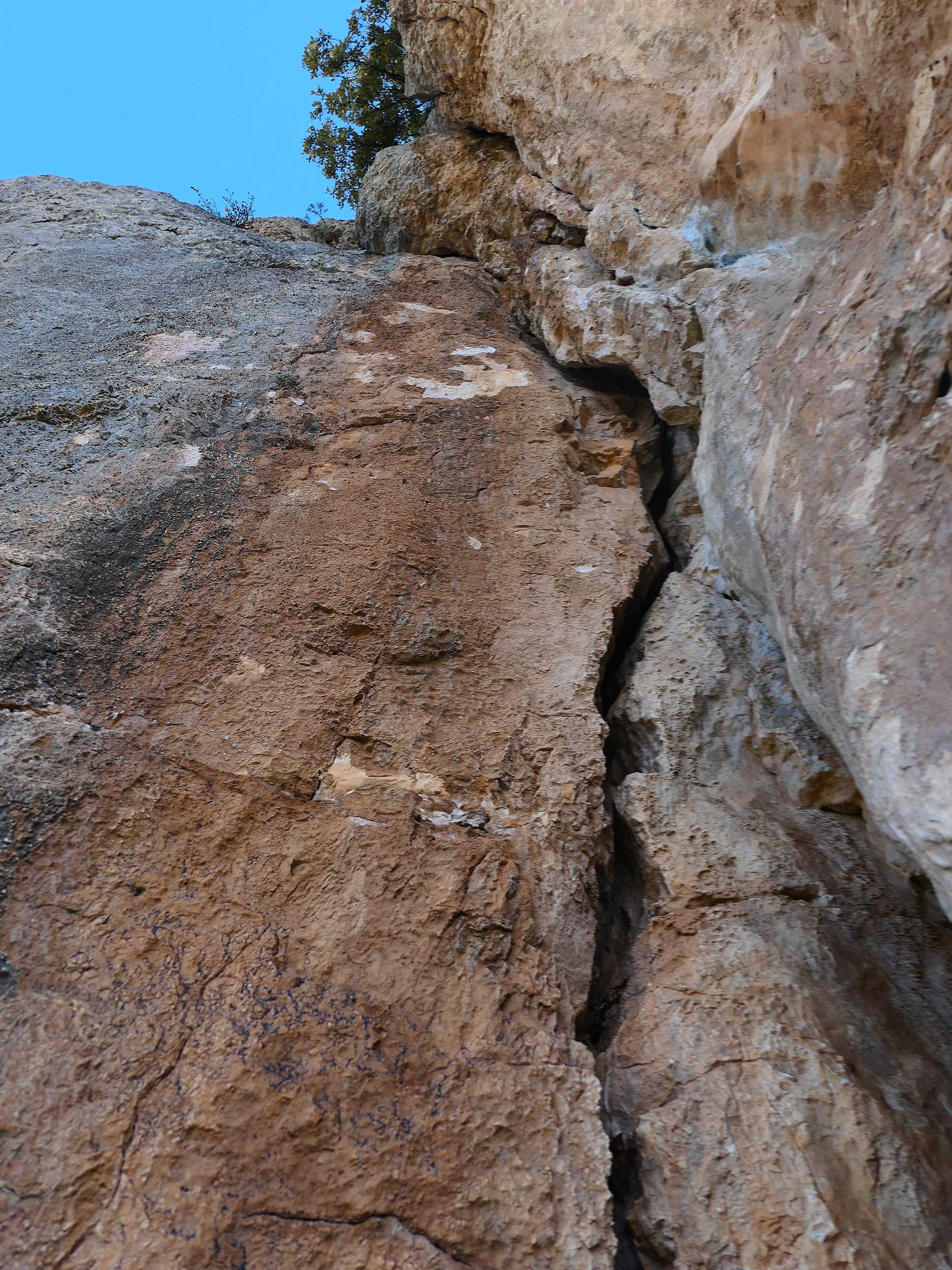 P1150548