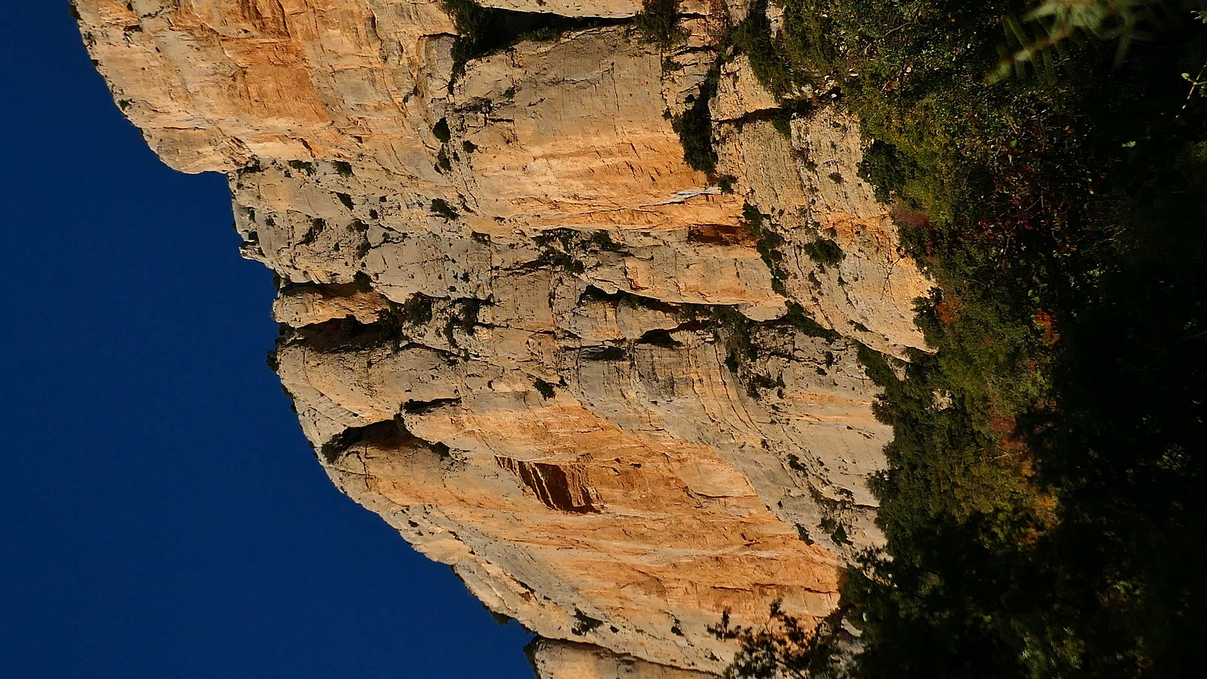 P1150562