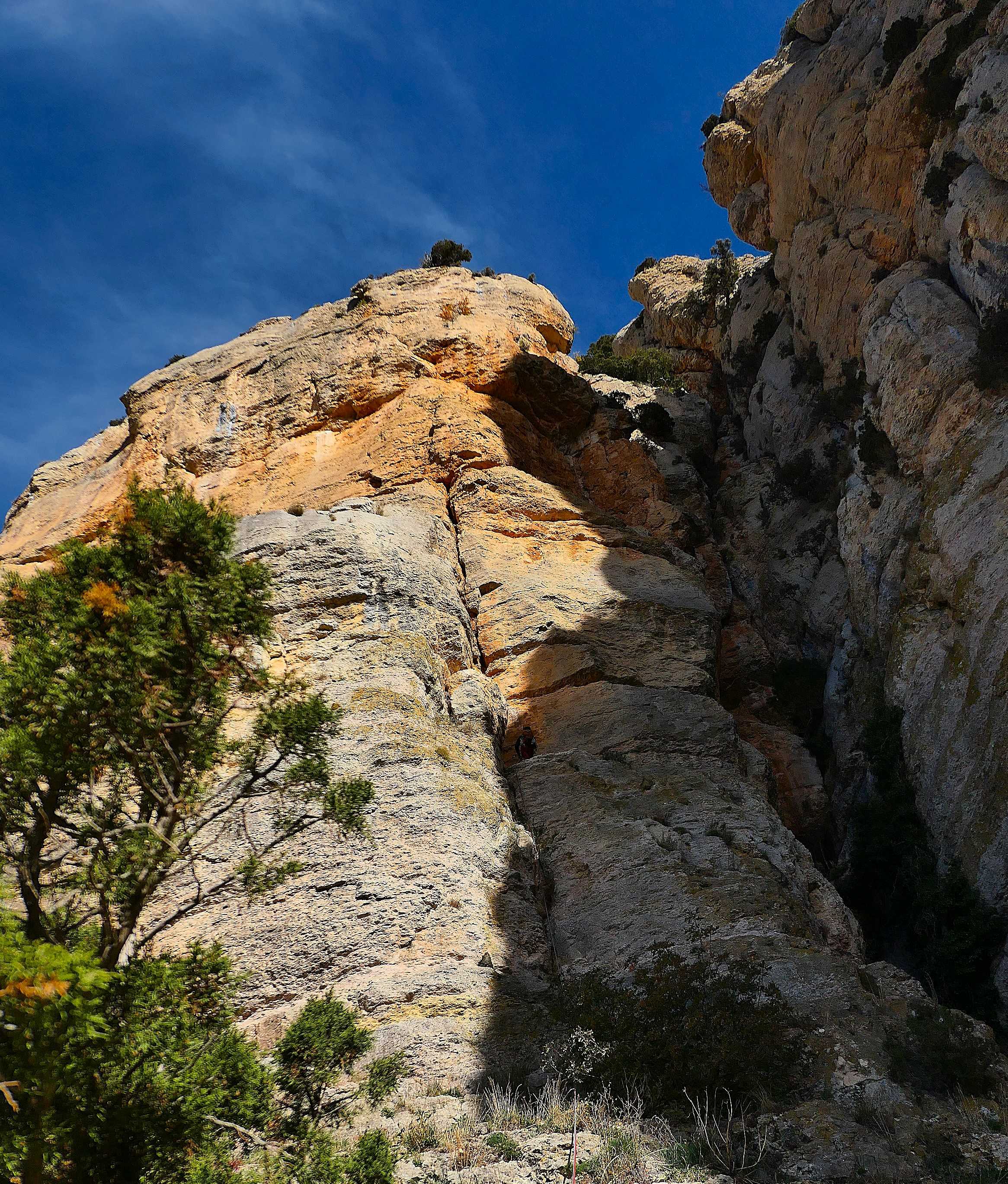 P1150568
